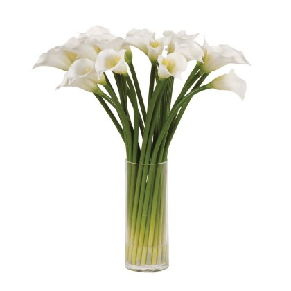 White Calla Lilies in a Glass Column Vase White Calla Lilies in a Glass Column Vase