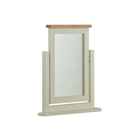 Northwood Swing Mirror