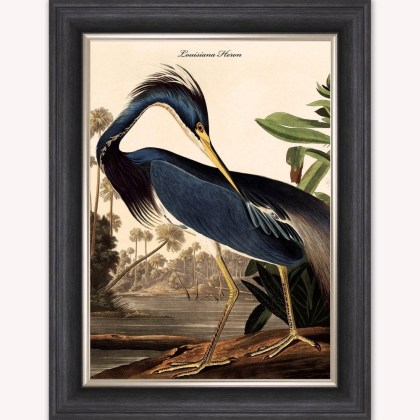 Louisiana Heron Luxury Velvet Framed Wall Art Louisiana Heron Luxury Velvet Framed Wall Art