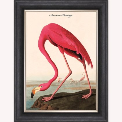 American Flamingo Luxury Velvet Framed Wall Art American Flamingo Luxury Velvet Framed Wall Art