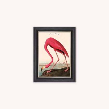 American Flamingo Luxury Velvet Framed Wall Art American Flamingo Luxury Velvet Framed Wall Art