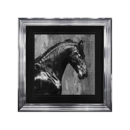 Black Stallion - Chrome Frame - 75x75cm Black Stallion - Chrome Frame - 75x75cm