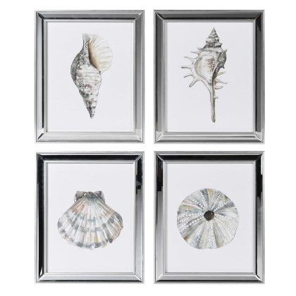 Shell Prints - Set of 4 Shell Prints - Set of 4