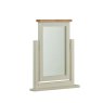 Northwood Swing Mirror Northwood Swing Mirror