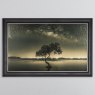 Sea Tree - Grey Vegas Frame - 114x74cm